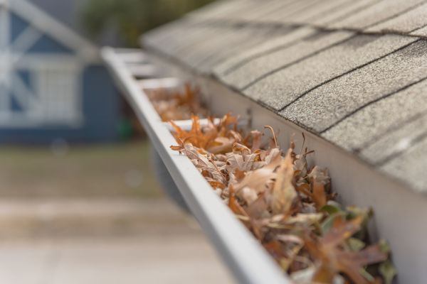Leaf Barrier Installation in Renton