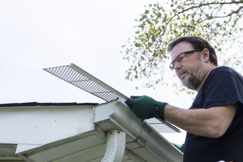 Expert Consultation on Gutter Cover Options